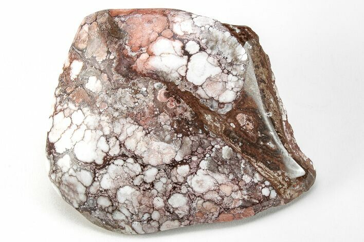 Polished Wild Horse Magnesite Section - Arizona #209546